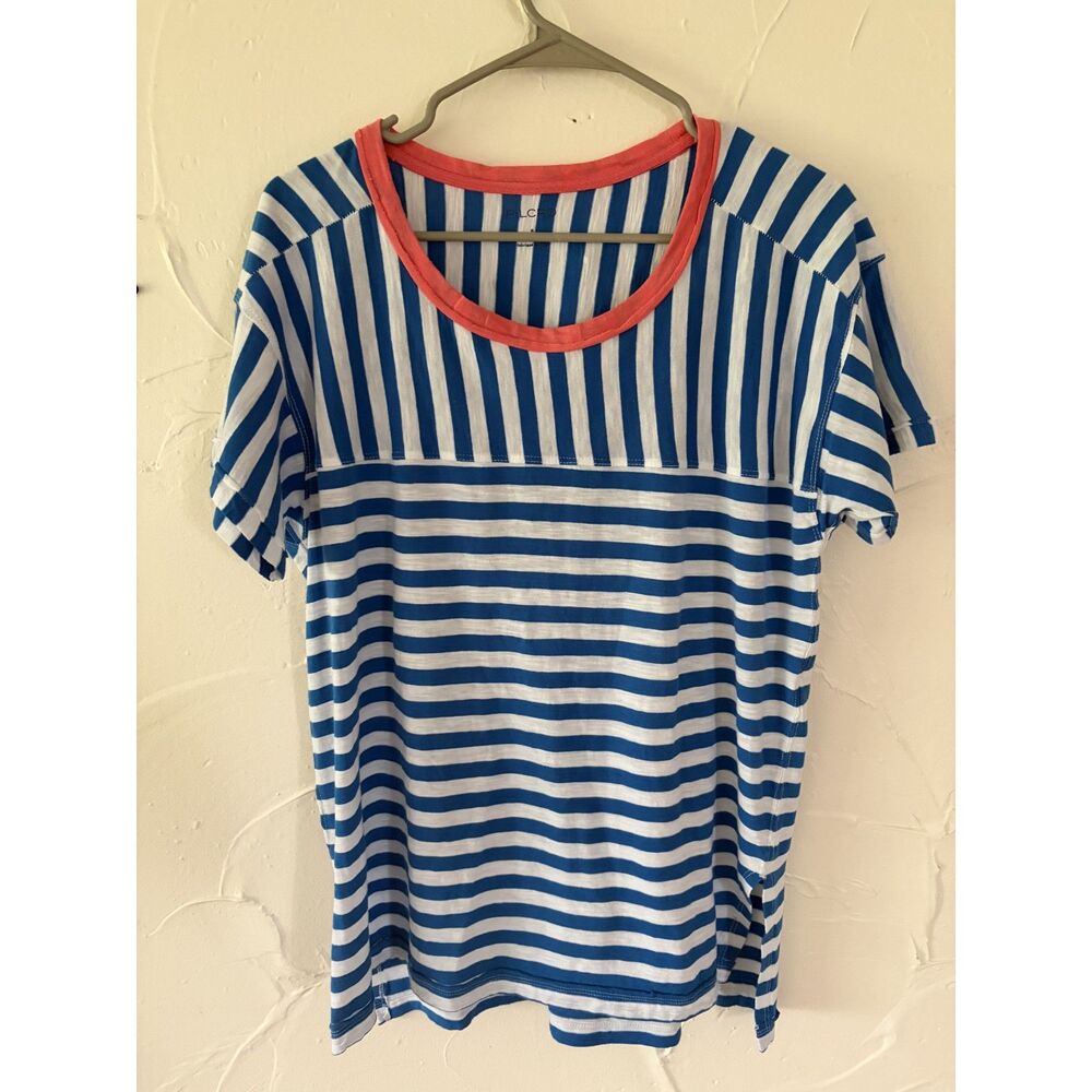 Anthropolgie Pilcro Blue Pink Striped Oversized Casual Shirt